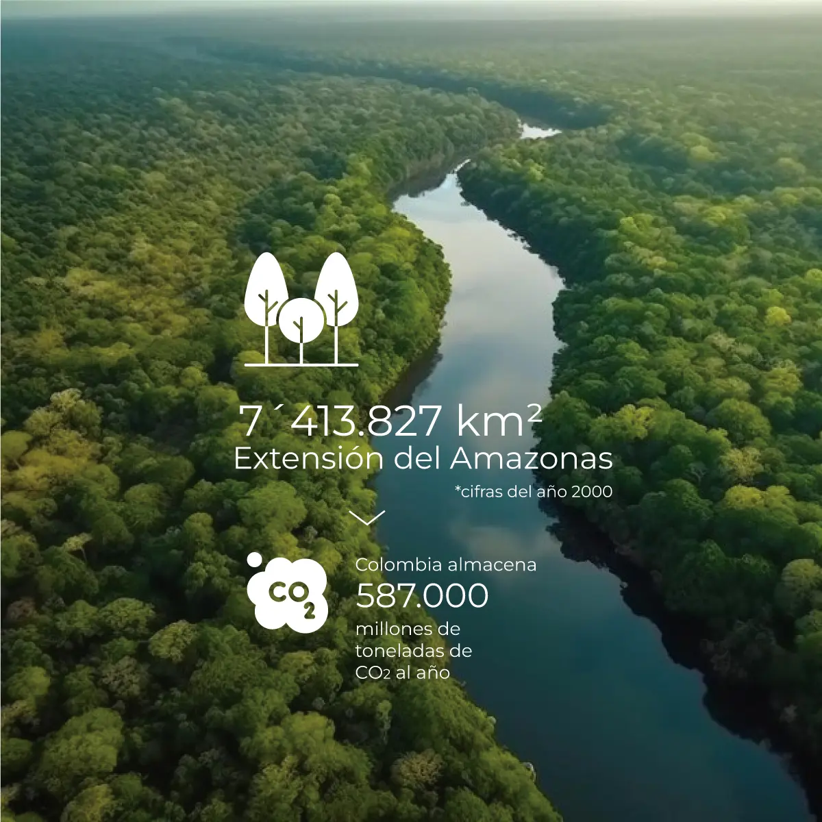 Amazonía en Latinoamérica y Colombia: un potencial multimillonario en bonos de carbono
